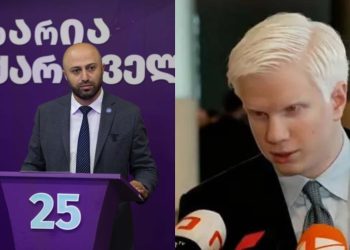 “სხვისი აზრი გაახმოვანა” – ბერდია სიჭინავა ცოტნე ივანიშვილზე