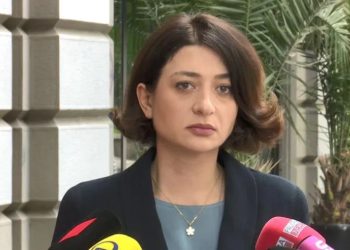 “მრავალშვილიან ქალს პოსტერის დაზიანების გამო სიცოცხლის რისკს რომ უქმნის სახელმწიფო და თან თავს იმით იმართლებს, რომ ელენეს ჯანმრთელობის პრობლემები ისედაც ჰქონდა, ეს არის აღიარება, რომ განზრახ წირავ ადამიანს!” – ანა ბუჩუკური