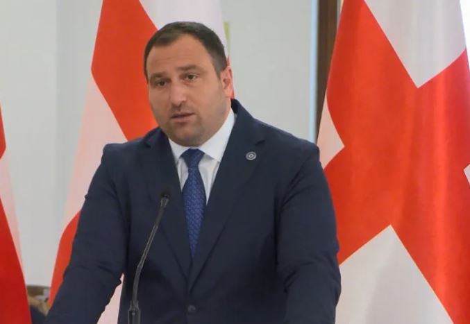 “მიხაილო სააკაშვილის ქრონიკებიდან” ერთ-ერთ სცენას დავარქმევდი “ბრწყინვალე ნანას და თინათინის შერკინებას” – ირაკლი კირცხალია “ნაციონალურ მოძრაობაზე”