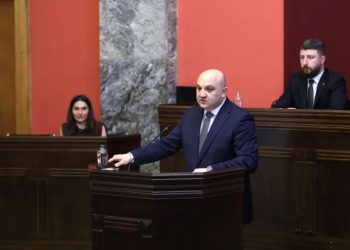 მთავრობა უცხოელთა ერთიანი რეესტრის შექმნას გეგმავს