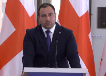 “ჩამოყალიბდით” – ირაკლი კირცხალია ბრიუსელს მიმართავს