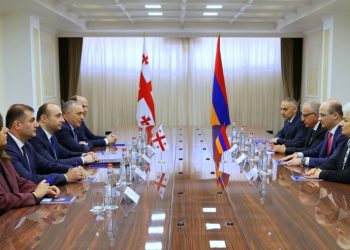 გეკა გელაძე ოფიციალური ვიზიტით სომხეთში იმყოფებოდა