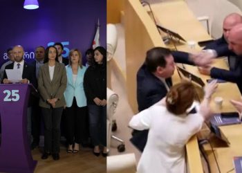 “გახარია საქართველოსთვის” 26 ივნისს პარლამენტში მომხდარზე გამოძიების დაწყებას ითხოვს