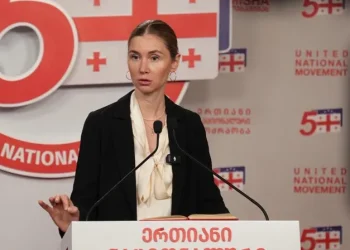 “მიუხედავად იმისა, რომ პენიტენციური სამსახური ადასტურებს ელენე ხოშტარიას ქრონიკულ დაავადებებს, მას მრავალი თვეა არ მიეწოდება ადეკვატური სამედიცინო დახმარება” – თინა ბოკუჩავა