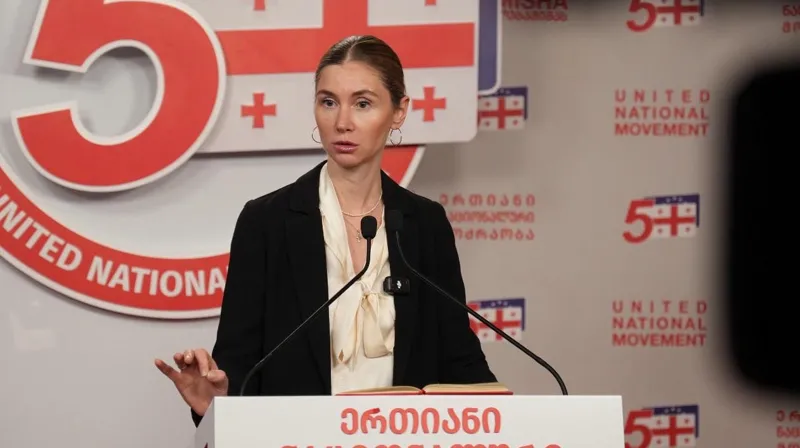 “მიუხედავად იმისა, რომ პენიტენციური სამსახური ადასტურებს ელენე ხოშტარიას ქრონიკულ დაავადებებს, მას მრავალი თვეა არ მიეწოდება ადეკვატური სამედიცინო დახმარება” – თინა ბოკუჩავა