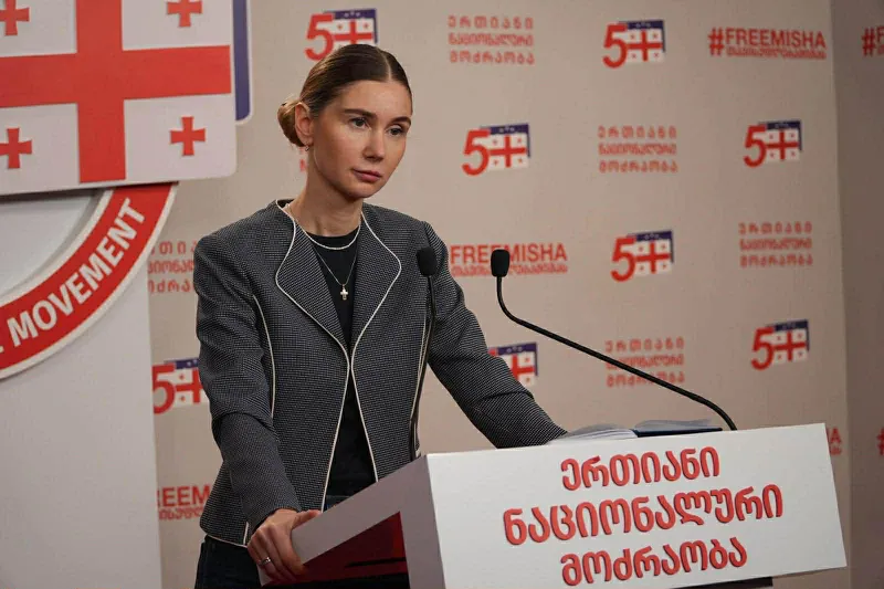 “მიხეილ სააკაშვილის პოსტი მოულოდნელი იყო. ამგვარმა იმპულსურმა და არათანმიმდევრულმა გადაწყვეტილებებმა მიგვიყვანა იქამდე, სადაც ვართ” – თინა ბოკუჩავა