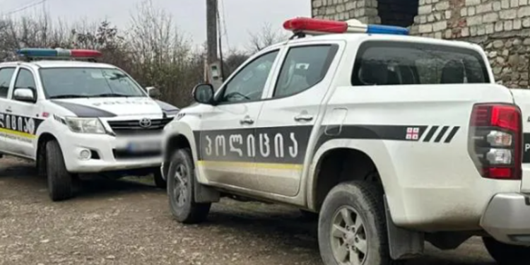 ,,8 წლის ბავშვს შეუმჩნევია, რომ დედა თვითმკვლეობას აპირებდა და გადარჩენა უცდია” – შემზარავი მკვლელობის ახალი დეტალები