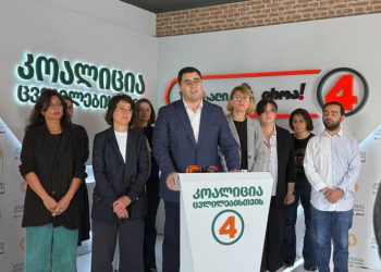 “დროა”: თითოეული დღე, როცა ელენე არ არის გადაყვანილი სამოქალაქო კლინიკაში, მის ჯანმრთელობაზე შეგნებული დარტყმაა