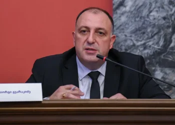 პარლამენტში, ორი კომიტეტის გაერთიანებულ სხდომაზე, გიორგი გვარაკიძეს უსმენენ – დღესვე, ის ყოველწლიურ ანგარიშს პლენარულ სხდომაზეც წარადგენს