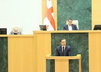 ლევან იოსელიანმა პარლამენტში ადამიანის უფლებათა და თავისუფლებათა დაცვის მდგომარეობის შესახებ 2025 წლის ანგარიში წარადგინა