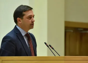 პარლამენტში ლევან იოსელიანის ყოველწლიურ ანგარიშს უსმენენ