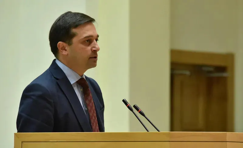 პარლამენტში ლევან იოსელიანის ყოველწლიურ ანგარიშს უსმენენ