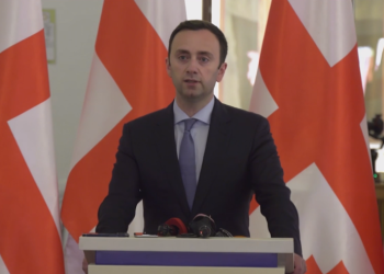 “ძაღლი ყეფს, ქარავანი მიდის” – ლევან მახაშვილი PACE-ს რეზოლუციაზე