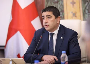 მიმდინარე კვირაში პარლამენტში სახალხო დამცველის, გენერალური პროკურორისა და გენერალური აუდიტორის ანგარიშების მოსმენაა დაგეგმილი