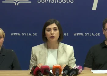 საია-მ ადამიანის უფლებათა ევროპულ სასამართლოში მზია ამაღლობელის ბრალდების საქმეზე საჩივარი წარადგინა