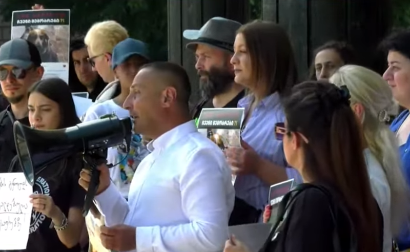 ფილარმონიასთან ცხოველთა უფლებების დამცველების აქცია გაიმართა