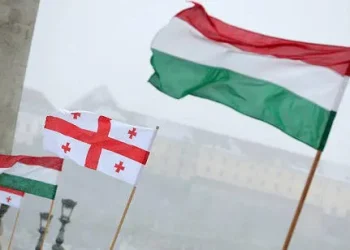 უნგრეთის საელჩო განმარტავს, რა სახის სამუშაო ვიზების გაცემა შეწყდა საქართველოს მოქალაქეებისთვის