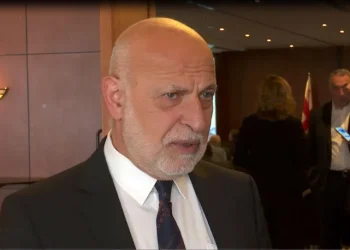 “ჯერ საქართველოს” ალიანსში გაწევრიანებაზე საუბარი ნაადრევია – ჩვენს ძალებს რომ შევიგრძნობთ, მაშინ დადგება დრო, როცა აქტიურ ურთიერთქმედებაში შევალთ პარტიებთან, კონსულტაციებს კი მანამდეც არაფერი გამორიცხავს” – ვალერი ჩეჩელაშვილი