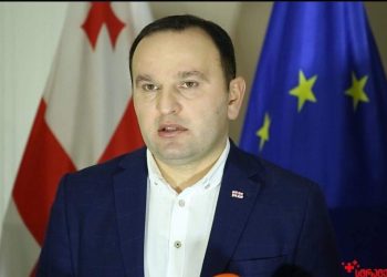 “არავითარი 4 ოქტომბრის ორგტანიზაორი არ ვყოფილვარ, ფოტოს გადაღებით შეიძლება, ადამიანი ორგანიზატორად იქცეს? აბსურდთან გვაქვს საქმე”- პაატა მანჯგალაძე