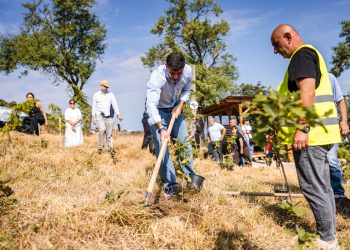 კახა კალაძე მთაწმინდის ფერდზე გამწვანების სამუშაოებს გაეცნო და ნერგები დარგო
