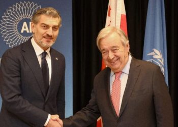 მიხეილ ყაველაშვილი ჟენევაში გაერო-ს გენერალურ მდივანს, ანტონიუ გუტერეშს შეხვდა
