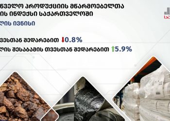 SJC პოლიციის მხრიდან მოქალაქეებზე ძალადობის პრაქტიკას საგანგაშოდ მიიჩნევს