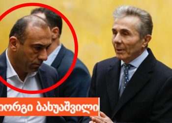 ივანიშვილის სანდო კაცი სუსში – რა დგას საკადრო ცვლილებების უკან?