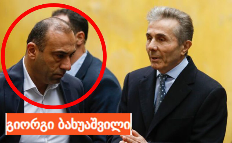 ივანიშვილის სანდო კაცი სუსში – რა დგას საკადრო ცვლილებების უკან?