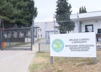 შინაგან საქმეთა მინისტრის ყოფილი მოადგილის შვილს, გიორგი მალანიას, რომელიც გიგა ავალიანის საქმეზე დააკავეს, ბრალს დღეს წარუდგენენ