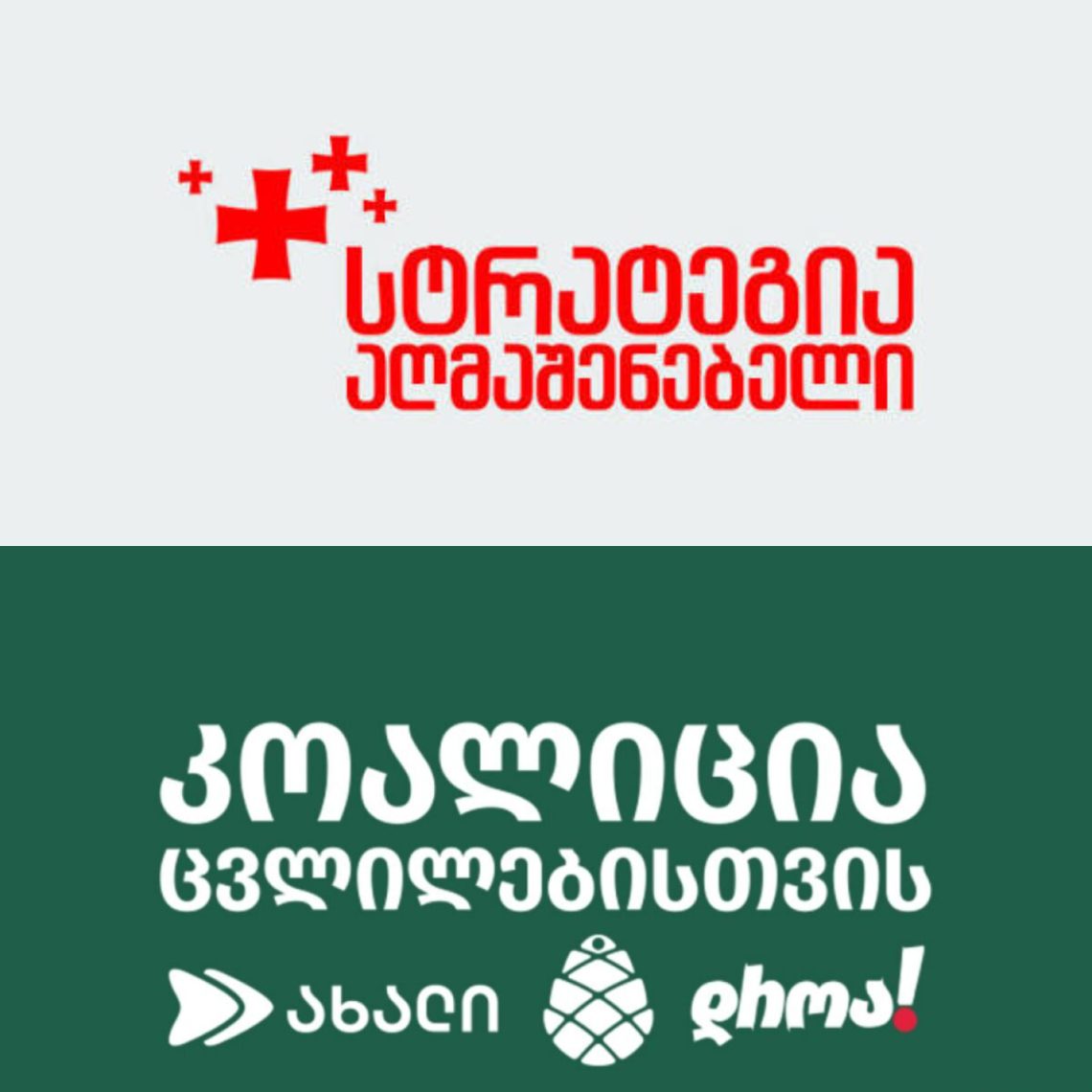 “კამპანია “ემიგრანტის ხმა” ძირითად ფაზაშია” – თენგო თევზაძე განცხადებას ავრცელებს
