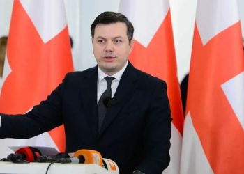 “ირაკლი კირცხალია აჟიტირებულია, ალბათ, ბედნიერად გრძნობს თავს მამუკა მდინარაძის კალთის ქვეშ” – რას ამბობს გიგა ფარულავა