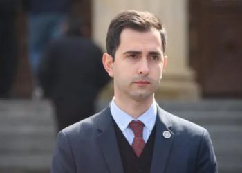 ადვოკატის განცხადებით, სისხლის სამართლის საქმის მასალებში ვერ იპოვა ვერც პირდაპირი და ვერც ირიბი მტკიცებულება, რაც დავით დეკანოსიძეს გიორგი კვარაცხელიას მკვლელობაში დაადანაშაულებდა
