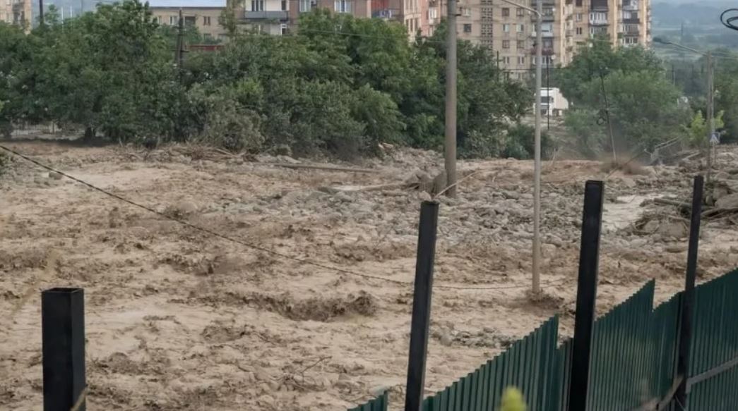 გარემოს ეროვნულმა სააგენტომ თელავის სტიქიაზე პირველადი შეფასება გამოაქვეყნა