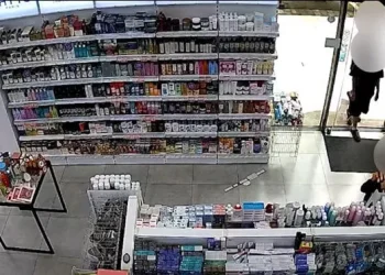 პოლიციამ ჯგუფურად ჩადენილი ძარცვისა და ქურდობის ბრალდებით ხუთი არასრულწლოვანი დააკავა