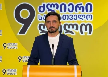 “ხელისუფლება „რიყის დოქების“ ადგილზე საკუთარ პოლიტიკურ და კომერციულ ინტერესებს ხედავს” – ნიკა ჩერქეზიშვილი