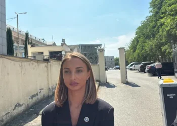 პროკურორის განცხადებით, ბრალდების მხარის მიერ დადასტურებულია, რომ 2015 წელს, გიორგი კვარაცხელიას ჯგუფურად, განზრახ მკვლელობა დავით დეკანოსიძემ და თორნიკე კაჭარავამ ჩაიდინეს