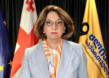 სალომე სამადაშვილის განცხადებით, ალეკო ელისაშვილის მიმართ გამოტანილი განაჩენი, „ამ რეჟიმის პირობებშიც კი, წარმოუდგენელი უკანონობა და სისასტიკეა“