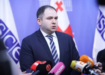 საქართველოს დელეგაციამ ეუთოს საპარლამენტო ასამბლეის პლენარული სხდომა პროტესტის ნიშნად დატოვა