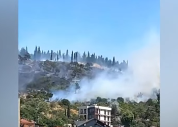 თბილისის ზღვის დასახლებაში ხანძარია – რა ხდება ამ წუთებში ადგილზე