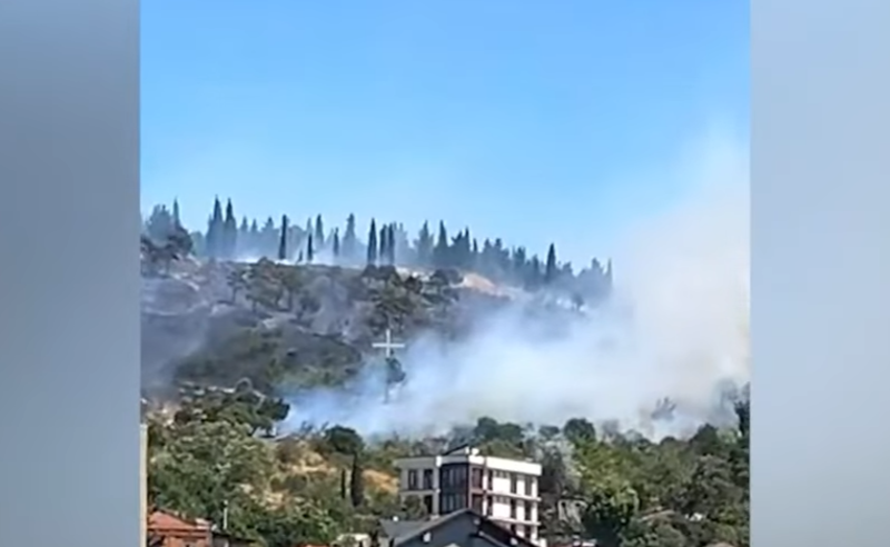 თბილისის ზღვის დასახლებაში ხანძარია – რა ხდება ამ წუთებში ადგილზე