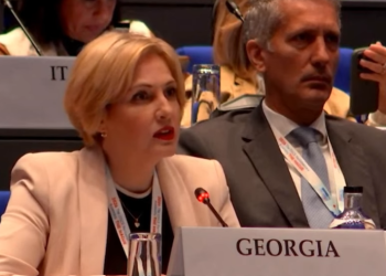 “ბევრ მცდარ და გადაუმოწმებელ ინფორმაციას შეიცავს” – ეკა სეფაშვილმა ეუთოს მოსკოვის მექანიზმის ანგარიში გააკრიტიკა