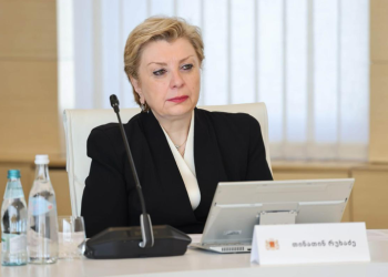 ივანიშვილს თიკა რუხაძე უბრალოდ „მობეზრდა“ – შეფასება მოულოდნელ სამთავრობო ცვლილებებზე