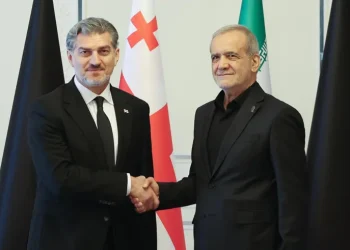 მიხეილ ყაველაშვილი ირანის პრეზიდენტს შეხვდა