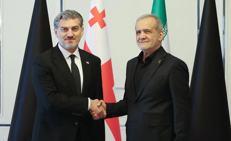 მიხეილ ყაველაშვილი ირანის პრეზიდენტს შეხვდა
