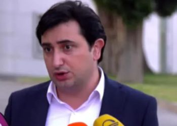 “მტკიცებულებების არ არსებობის საფუძველზე, ნია იმნაძის აღკვეთის გარეშე დატოვებას მოვითხოვთ” – ნია იმნაძის ადვოკატი