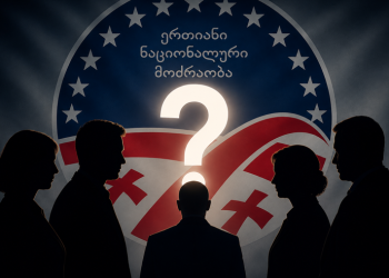 ენმ-ის რიგით მე-13 ყრილობა დღეს გაიმართება – უცნობია მივა თუ არა თინა ბოკუჩავა