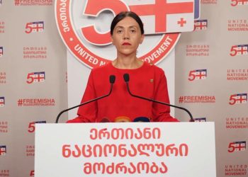 “ღარიბაშვილს თუ თავის გადარჩენა უნდა, ერთადერთი რამ აქვს დარჩენილი,  უნდა ილაპარაკოს სიმართლე” – რას აცხადებს ანა წითლიძე