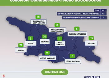 გარემოსდაცვითი ზედამხედველობის დეპარტამენტმა ივლისში უკანონო ტყითსარგებლობის 112 ფაქტი გამოავლინა