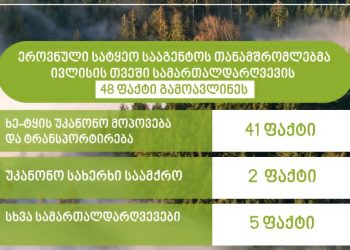 ეროვნულმა სატყეო სააგენტომ მიმდინარე წლის ივლისში სამართალდარღვევის 48 ფაქტი გამოავლინეს
