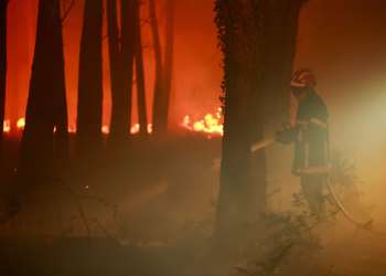 ევროპაში ტყის ხანძრებთან ბრძოლა გრძელდება